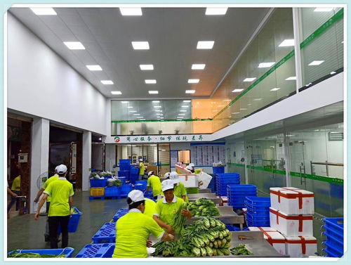 东坑镇工厂农产品配送服务优势与信息咨询服务解析