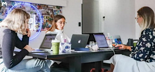 小荷AI医生个人信息保护与今日头条信息咨询服务 隐私与效率的双重考量